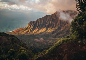 聚焦香港 IFT国际形体导师协会：女性职业征途的领航灯塔